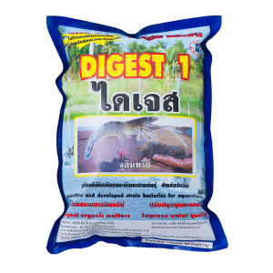 ไดเจส 2