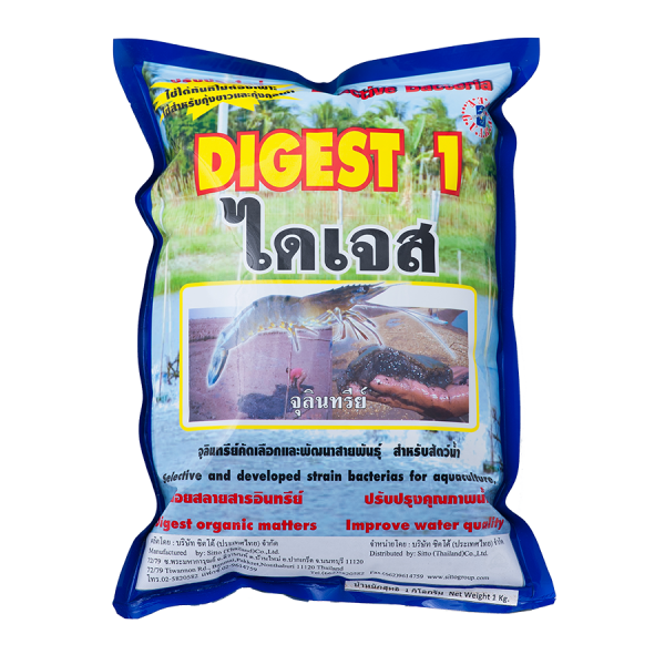 ไดเจส 2
