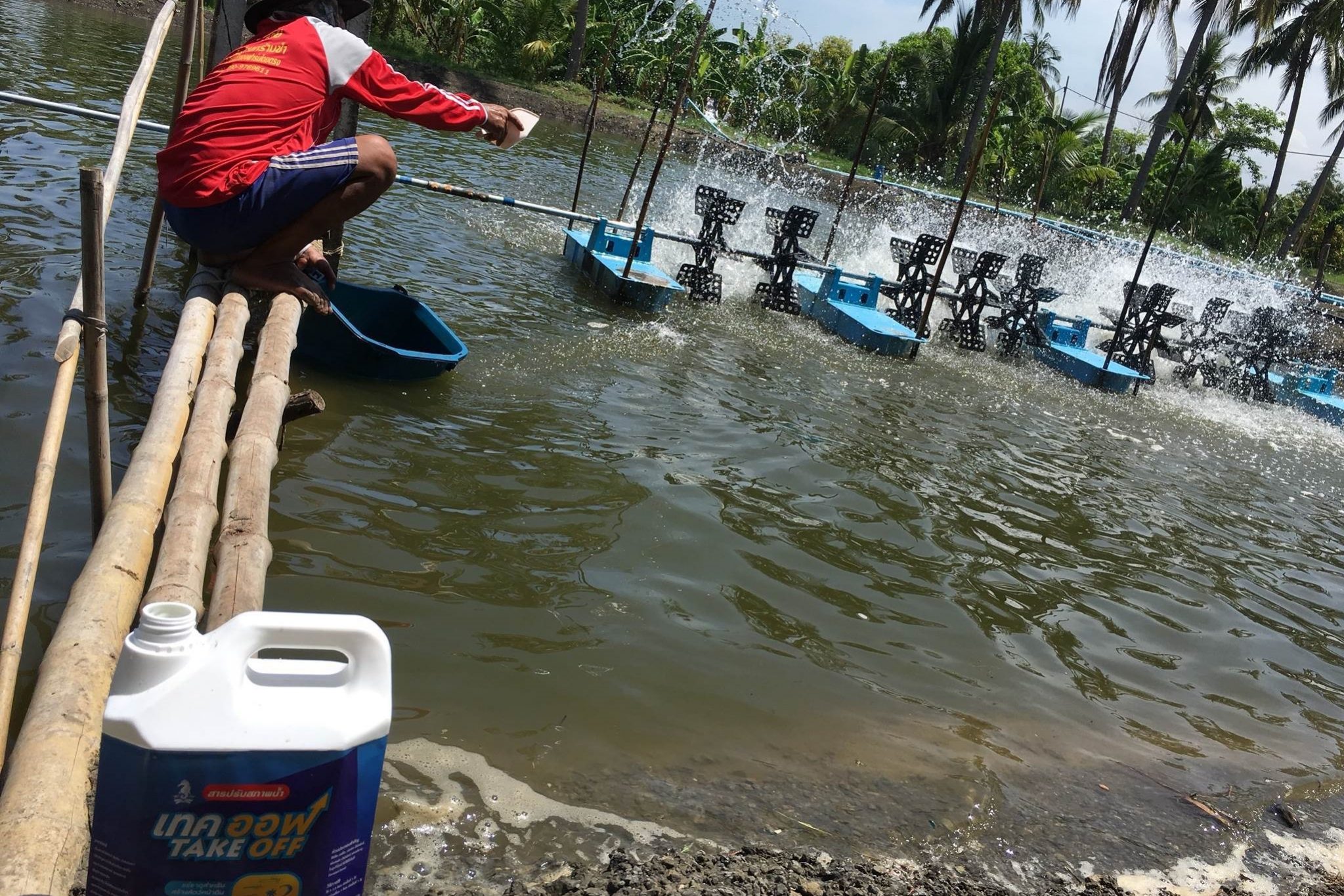 timeline_25610531_102210