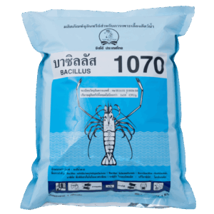 บาซิลลัส ซับติลิส